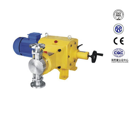 5cc25df2bb3fd.jpg 5c776cf0b592f.jpg